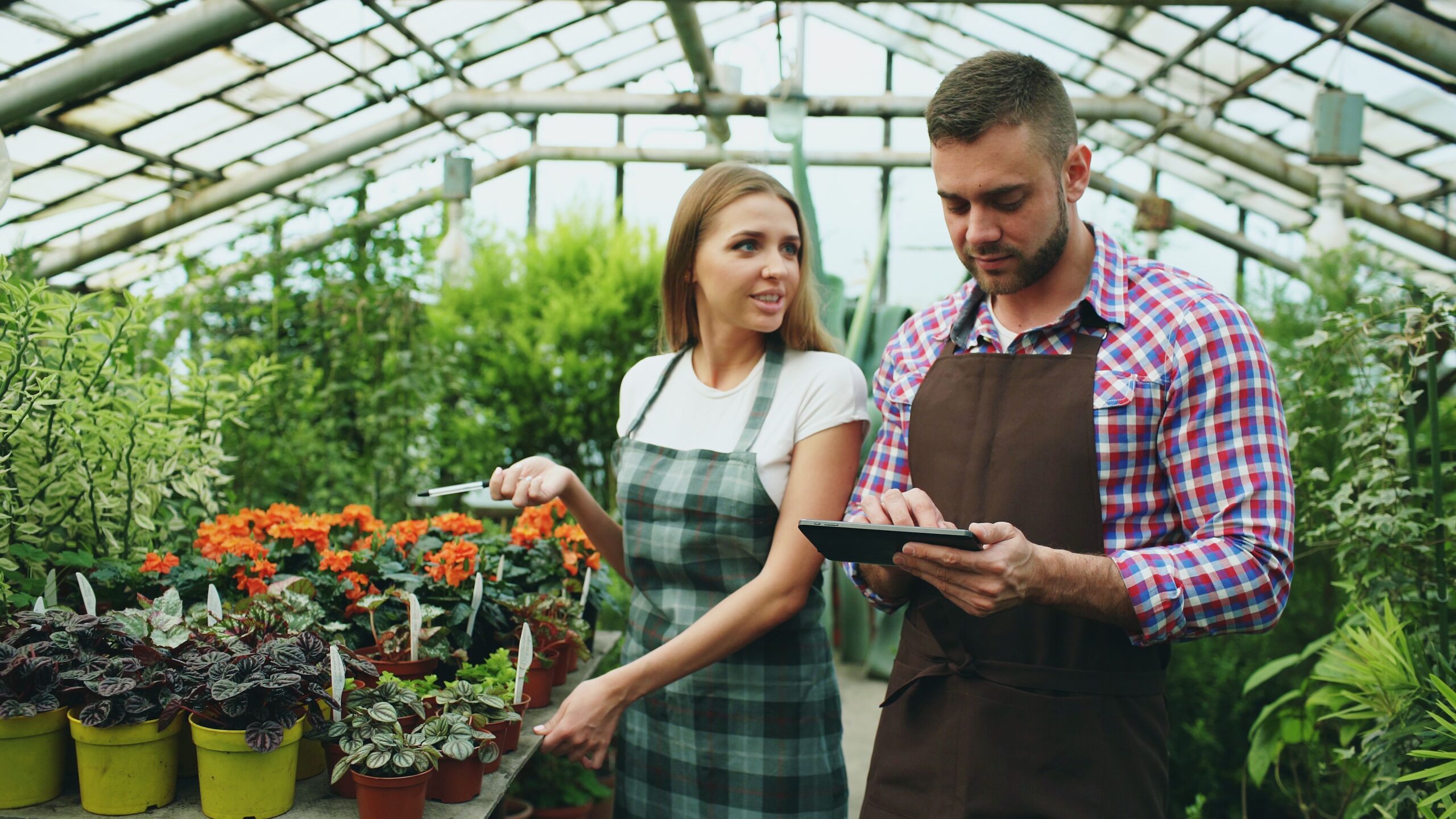 Soluciones para cada etapa empresarial | UOL